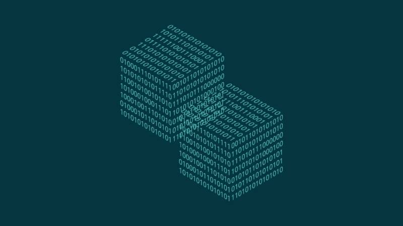 玉树信创改造:网络应用开发流程标准化的核心路径与实践